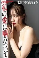 橋本萌花 私の愛に噛みついて