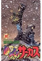 からくりサーカス （30）