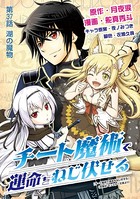チート魔術で運命をねじ伏せる （37）
