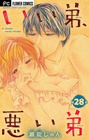 いい弟、悪い弟【マイクロ】（28）
