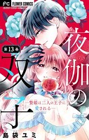 夜伽の双子―贄姫は二人の王子に愛される―【マイクロ】（13）