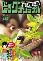 ビッグコミックオリジナル 2023年10号（2023年5月2日発売）