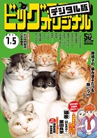 ビッグコミックオリジナル 2023年13号（2023年6月20日発売）