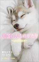 小学館ジュニア文庫 天国の犬ものがたり〜MOTHER〜