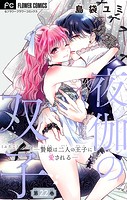 夜伽の双子―贄姫は二人の王子に愛される―【マイクロ】（22）