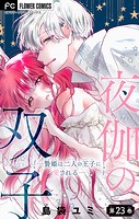 夜伽の双子―贄姫は二人の王子に愛される―【マイクロ】（23）
