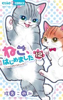 ねこ、はじめました