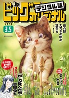 ビッグコミックオリジナル 2024年5号（2024年2月20日発売）