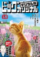 ビッグコミックオリジナル 2024年6号（2024年3月5日発売）