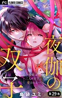 夜伽の双子―贄姫は二人の王子に愛される―【マイクロ】（29）