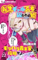 転生ギャル勇者と囚われの姫〜モラハラ義実家を攻略せよ〜【マイクロ】（22）