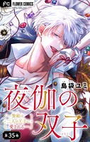 夜伽の双子―贄姫は二人の王子に愛される―【マイクロ】（35）
