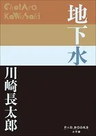 P＋D BOOKS 地下水