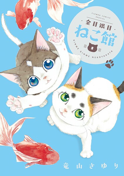 金目銀目ねこ館 5