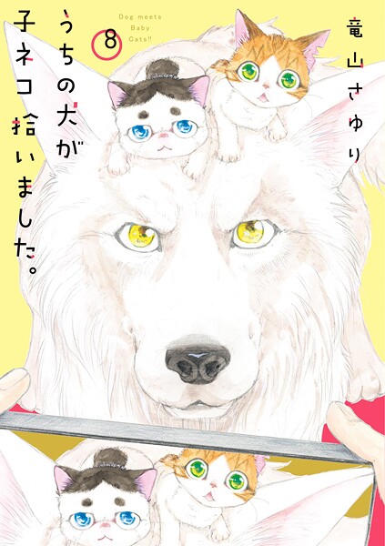 うちの犬が子ネコ拾いました。（8）