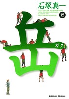 岳 （12）