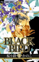 BLACK BIRD （15）