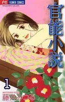 官能小説