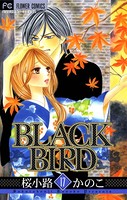 BLACK BIRD （17）