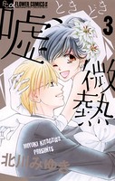 嘘、ときどき微熱
