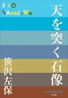 P＋D BOOKS 天を突く石像