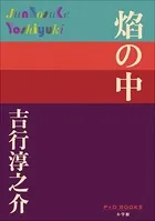 P＋D BOOKS 焔の中