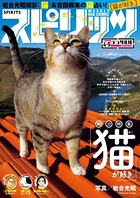 週刊ビッグコミックスピリッツ 2017年4・5合併号 （2016年12月26日発売）