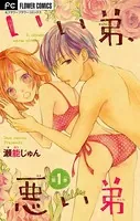 いい弟、悪い弟【マイクロ】（単話）