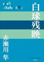 P＋D BOOKS 白球残映