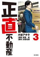 正直不動産 （3）