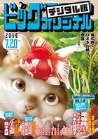 ビッグコミックオリジナル 2019年14号（2019年7月5日発売）