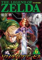 ゼルダの伝説 トワイライトプリンセス （6）