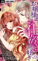 お嬢様はお仕置きが好き【マイクロ】 （12）