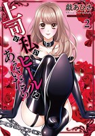 上司が私のヒールであえいだら【単行本】 （2）