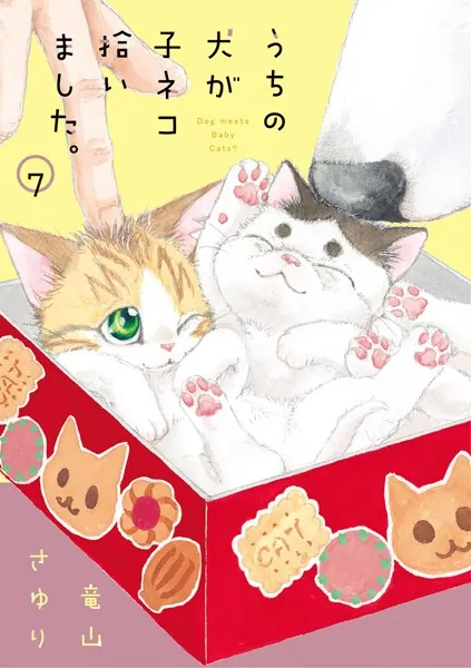 青山紫子 ちいさなちいさな・ねこ・しあわせものがたり うちの犬が子ネコ拾いました。（7） - 竜山さゆり - 女性マンガ - DMM