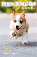 小学館ジュニア文庫 天国の犬ものがたり〜一枚の写真〜