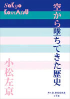 P＋D BOOKS 空から墜ちてきた歴史
