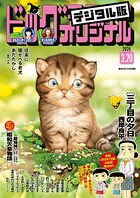 ビッグコミックオリジナル 241