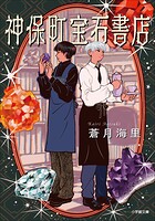 神保町宝石書店 1