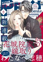 プチコミック 106