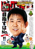 ビッグコミック増刊 28