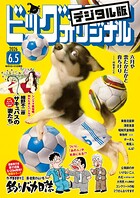 ビッグコミックオリジナル 246