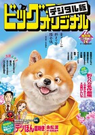 ビッグコミックオリジナル増刊 62