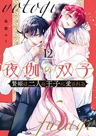 夜伽の双子―贄姫は二人の王子に愛される― 12