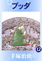 ブッダ（カラー版） 12