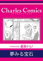 夢みる宝石