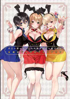 バニーガーデン＆へべれけ ばにーがーでん 公式ビジュアルファンブック
