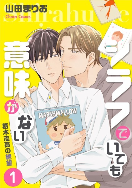 商品ページ画像