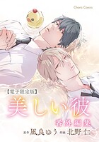 「美しい彼」番外編集【電子限定版】（単話）