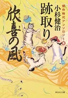 風烈廻り与力・青柳剣一郎 【番外編】